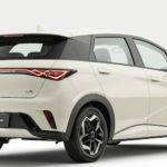 byd-dolphin-back-pc.jpg
