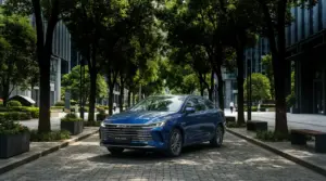 BYD King