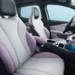 BYD Dolphin Plus: interior