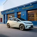 BYD Dolphin SE: vista externa