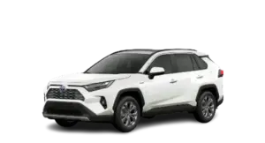 Hybrid SX